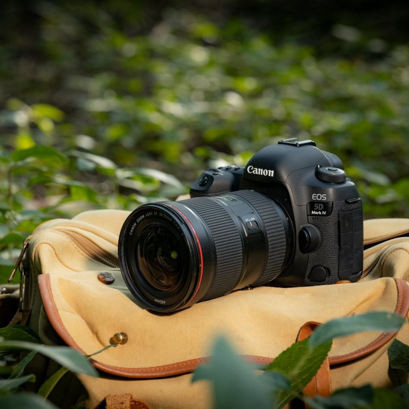 EOS_5DMarkIV_2_IC.png