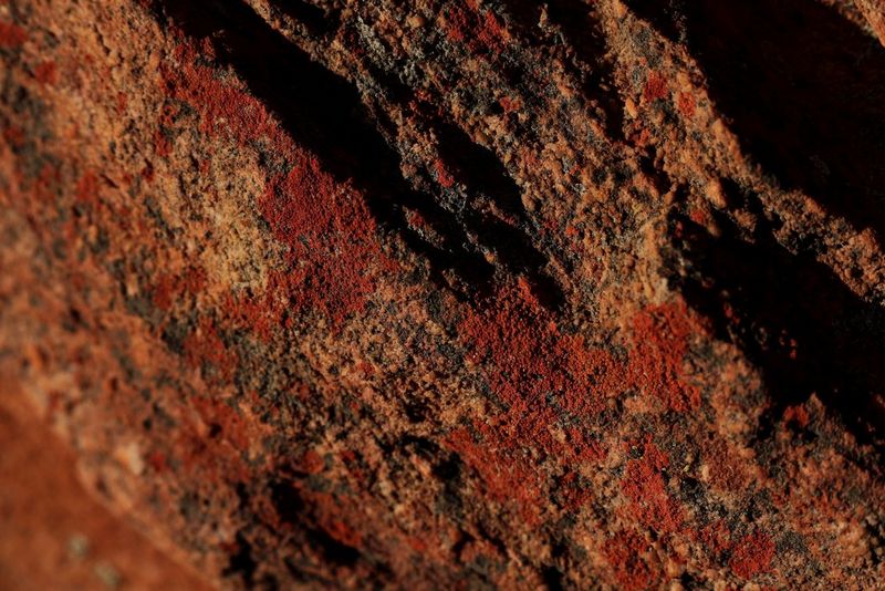 Warranty_Page_Image