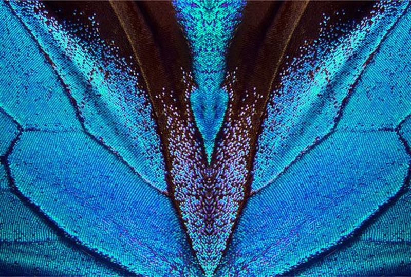 Graafisen teollisuuden ihmeet