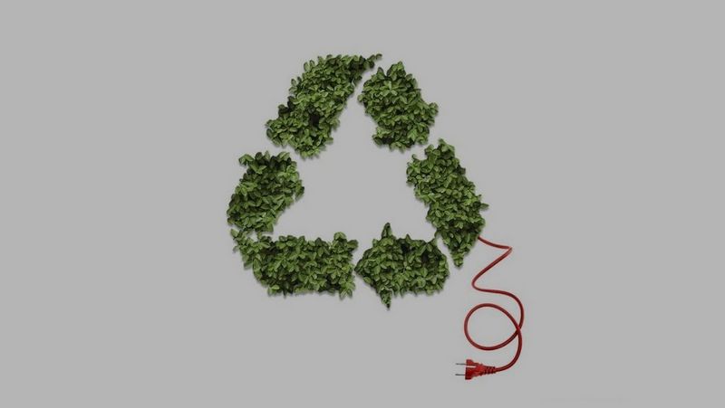 Our Sustainable Vision