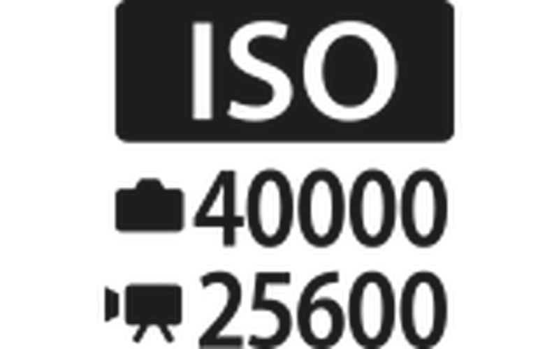 Max ISO 40,000