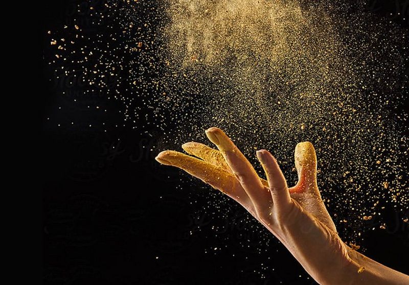 Canon Insight Report 2020