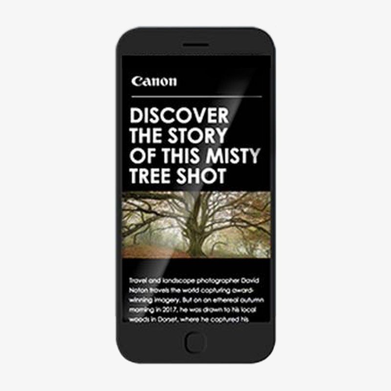 Join-the-pro-newsletter