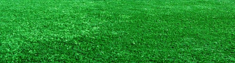 A close-up of the grass on a football pitch.
