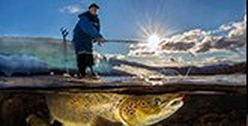 Audun Rikardsen fishing for salmon in a river