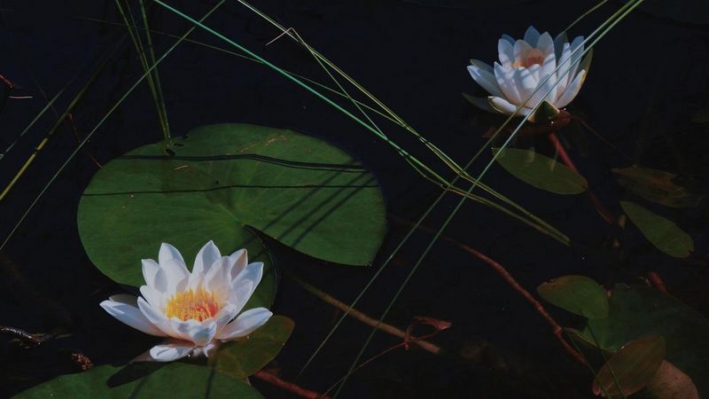 Margarita-Sheremet-hero