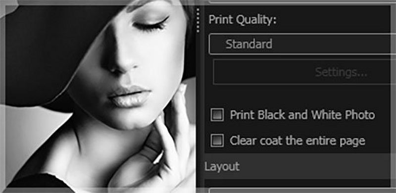 Mono-printing-and-clear-coating