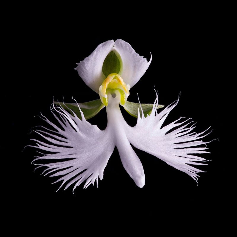 Naturalium-4-Rob-Munday