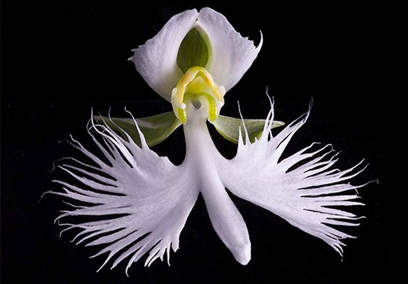 Rob Munday's holograms: where art and science meet