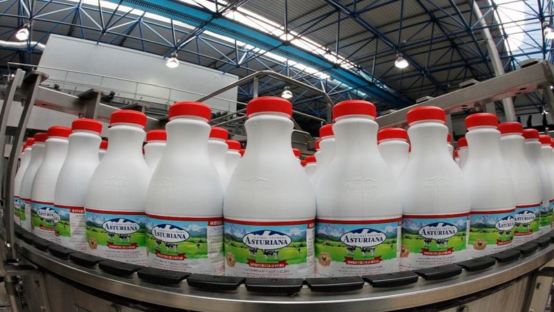 Líder del mercado lácteo español