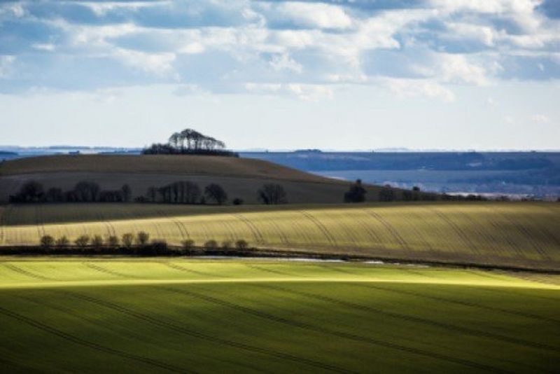 Photo and Fine Art Printing