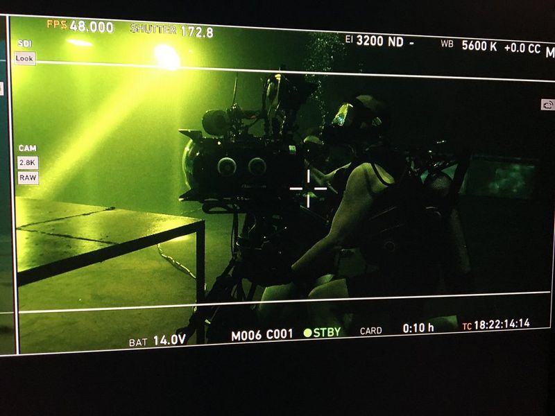 Underwater camera operator Wim Michiels seen on a monitor.