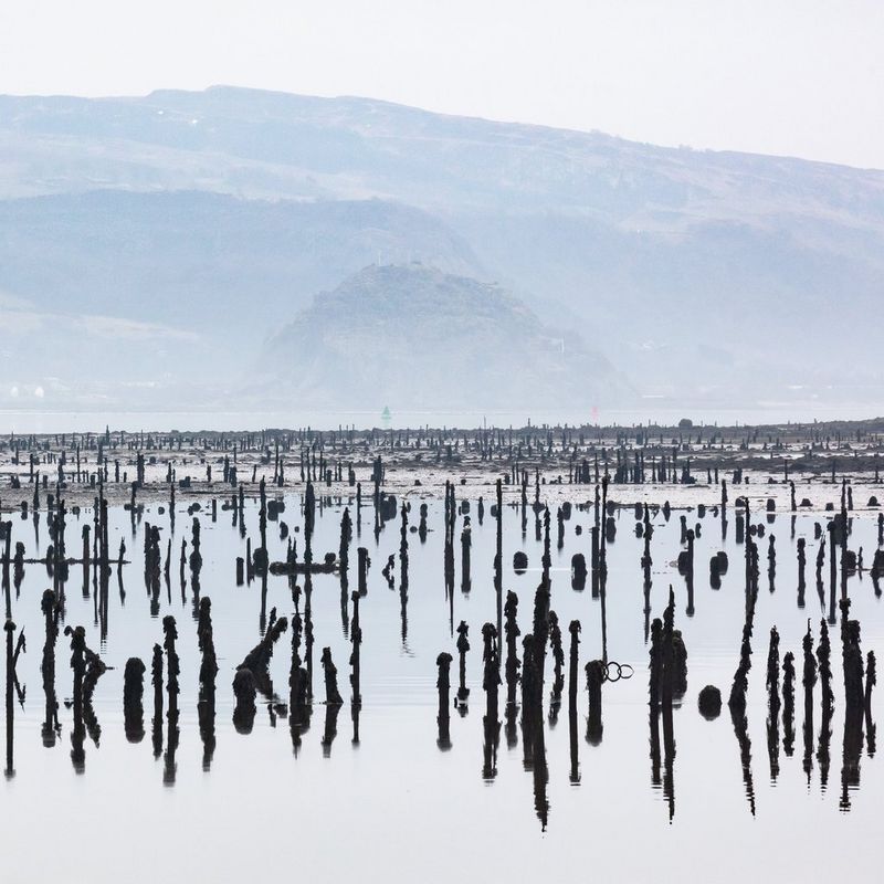The timber ponds of the River Clyde in Scotland with Dumbarton Castle just visible in the background. 