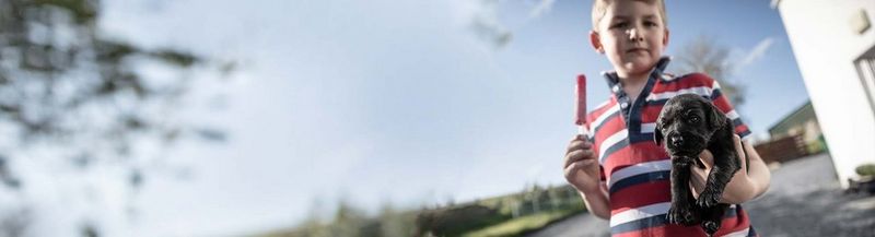 On the left stands a young boy, who wears a white, red and blue striped polo shirt. In his left arm, he holds a puppy. His right hand is aloft, holding a red ice lolly. Behind him is the blue sky of a sunny day. There is also a white building that can be partially seen on the right and indistinct greenery on the left.