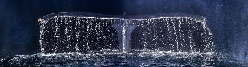 A huge whale's tail pushes out of the sea, creating an immense waterfall. 