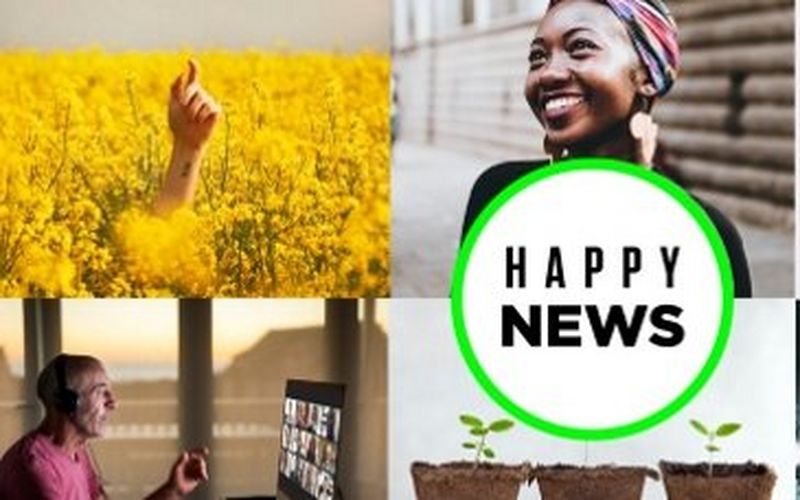 Sambandet mellan glada medarbetare och produktiva företag undersöks i Happy News 