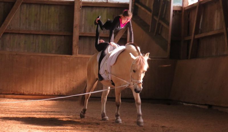 Soziale Freistellung