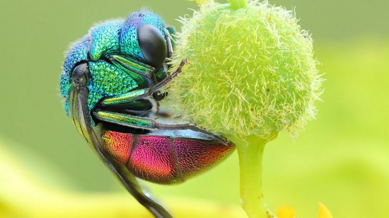 Sustainability-at-Canon