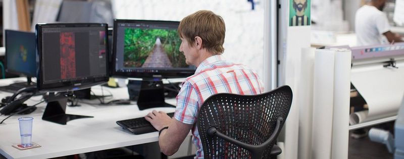 The Window Film Company