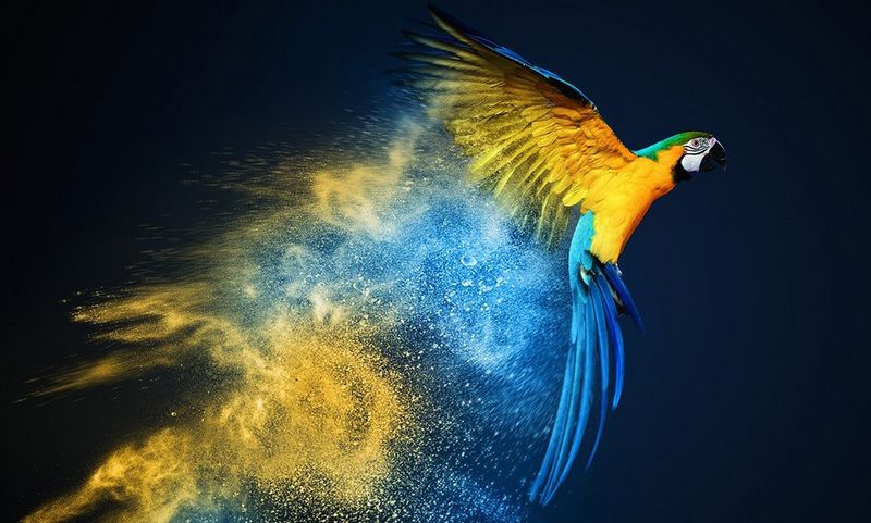 Erhöhen Sie Ihre Produktivität mit hochwertigen Farbdrucken