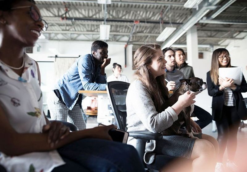 Trainingen & opleidingen – verreik uw kennis