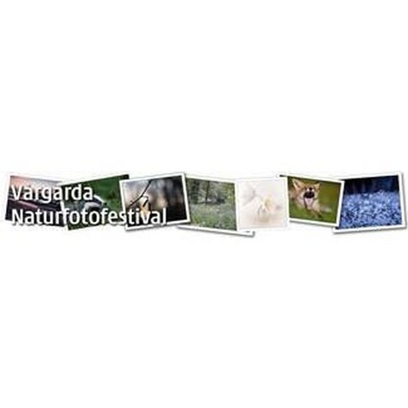 Press Photo of the Year