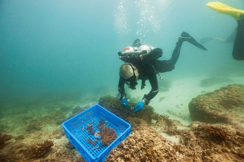 About the Founder — Darryl Owen: