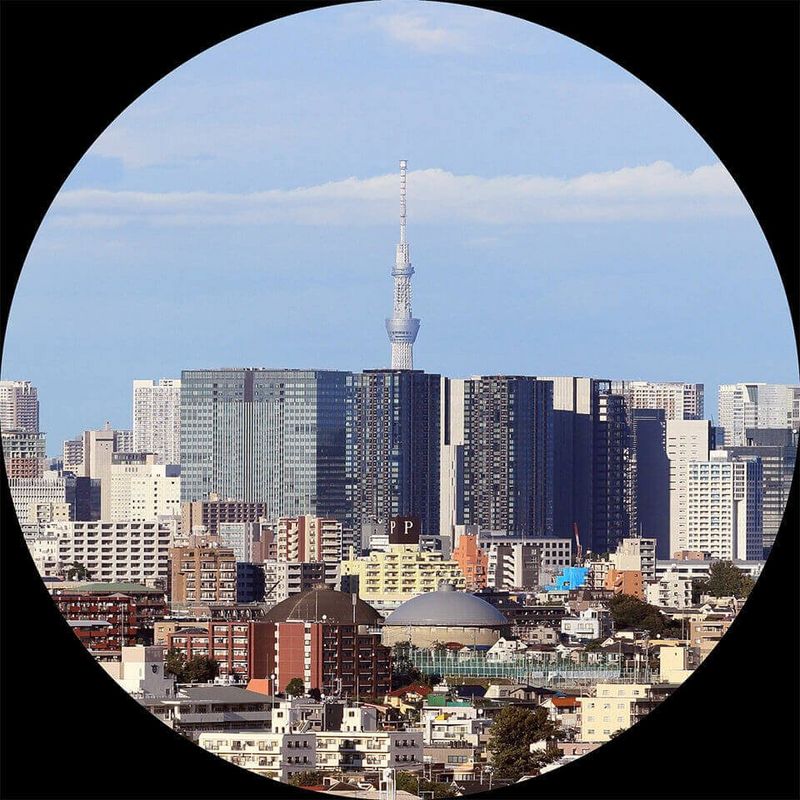 A vivid viewing experience 