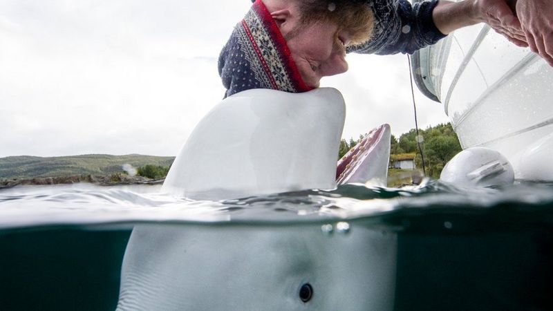 Aleksander NORDAHL: “Amour”