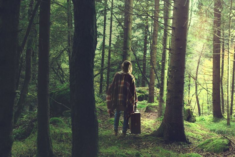 Palette EUR - Enlèvement