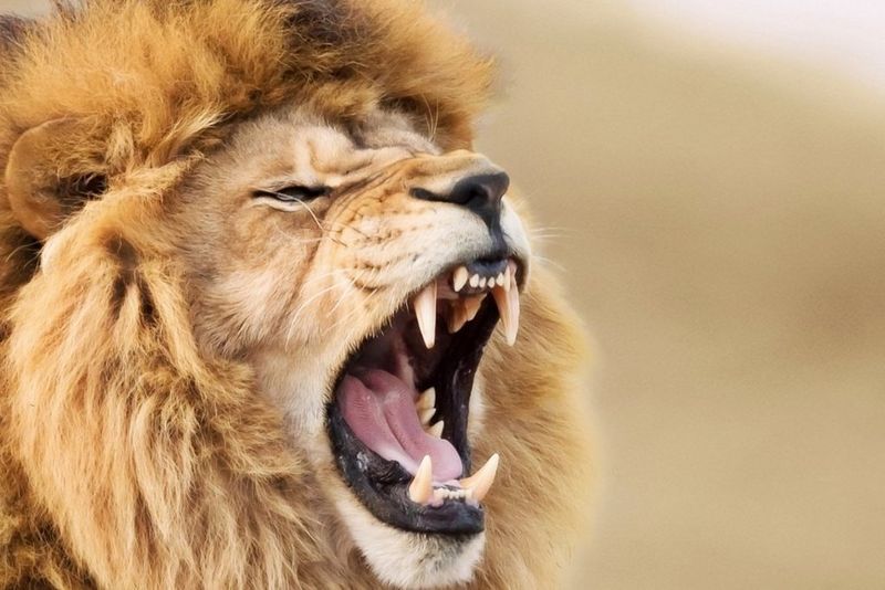 Don't Risk It: Protect Business Security with Canon Solutions