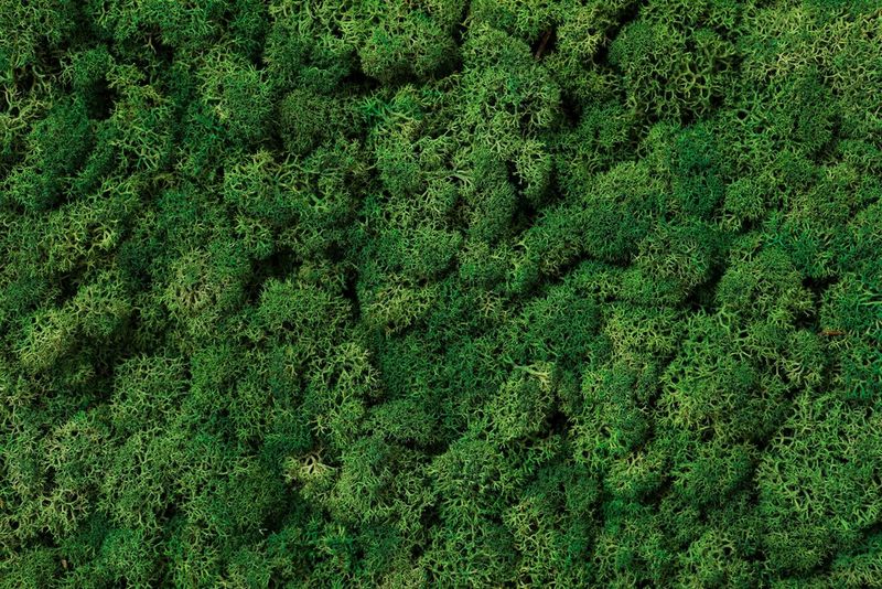 Vores arbejde med Science Based Targets (SBTi)