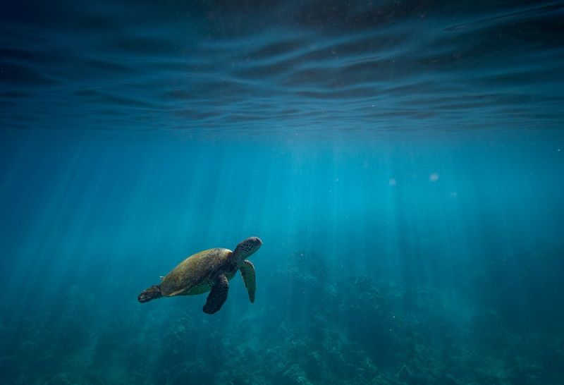 Duurzaamheid bij Canon