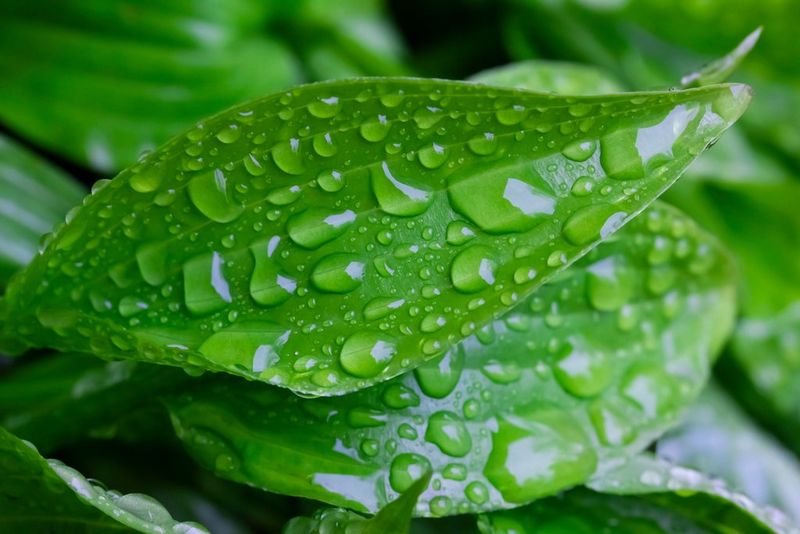 Wie wir uns als Unternehmen engagieren