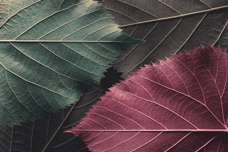 Objectifs de notre politique environnementale