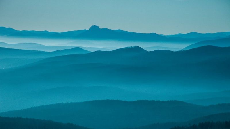 Bortskaffelse af Canon forbrugsvarer