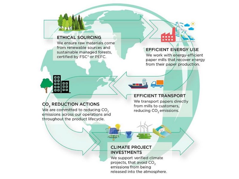 Article 1 Infographic.png