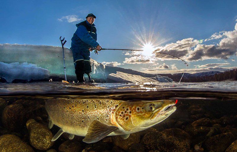 Audun Rikardsen standing in river catching a salmon