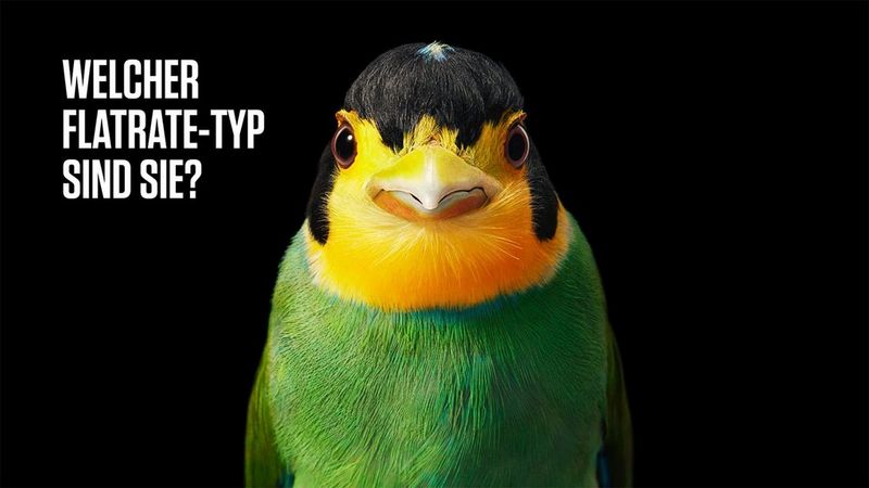 Die Drucker-Flatrate für Österreichs Unternehmen.