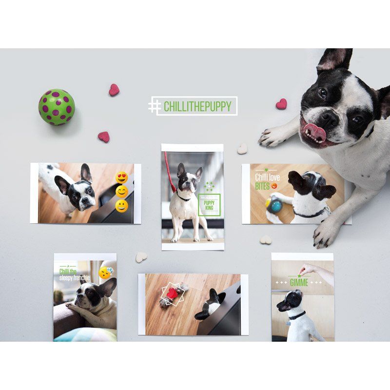 Your Instagram’s best friend