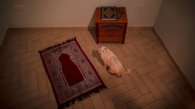 blog-hero-ramadan-914d1386-9b7d-11ea-81bf-f8b156c1dc4d