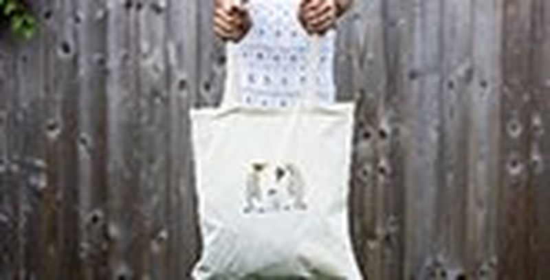 RHS-Thumbnails_165x84_1