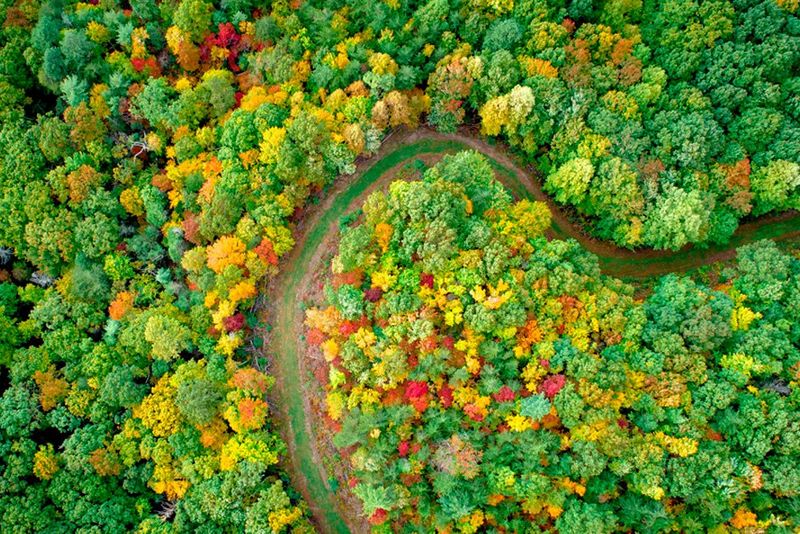 Vigtigheden af bæredygtighed og den cirkulære økonomi
