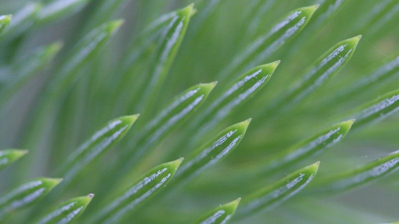 Développement du programme de recyclage