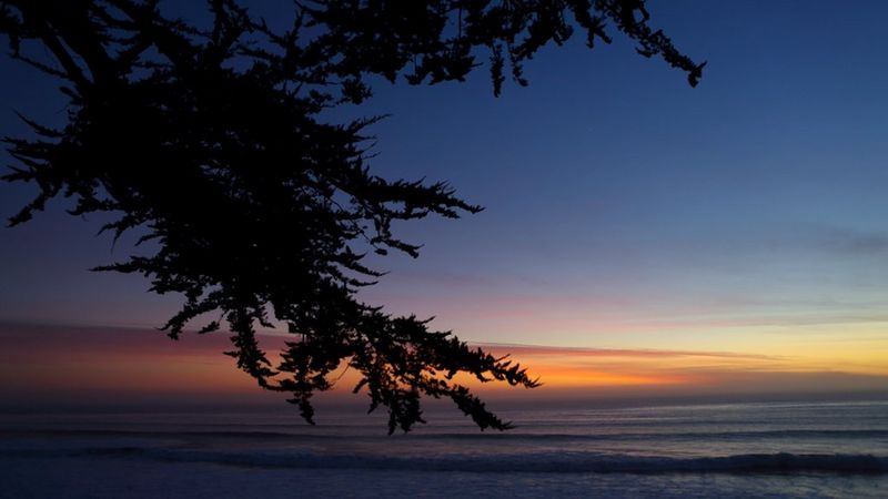 Support sustainability