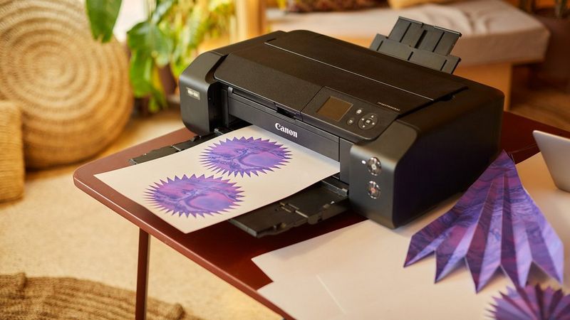 A space for nature, sculpted from paper