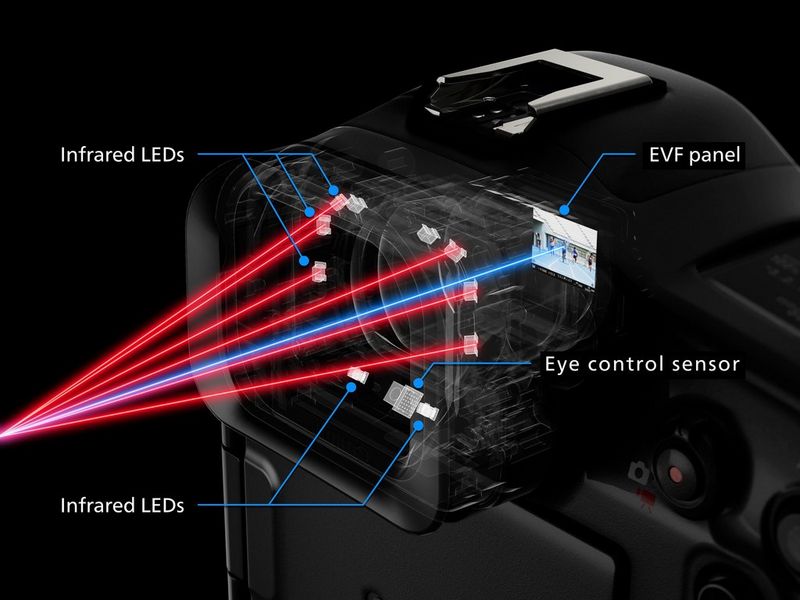 A diagram of the Eye Control AF sensors within the viewfinder of a Canon EOS R1.