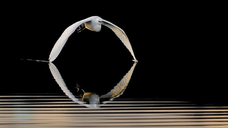 Challenge winner: Capturing speed in a wide frame