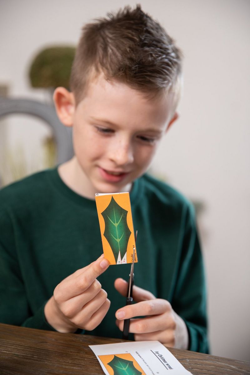 A boy sits at a table carefully cutting out a holly leaf template from a piece of paper.
