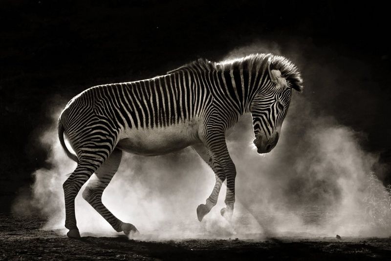 Erstelle dein erstes gedrucktes Foto-Portfolio